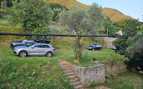 Apartmani Markovic